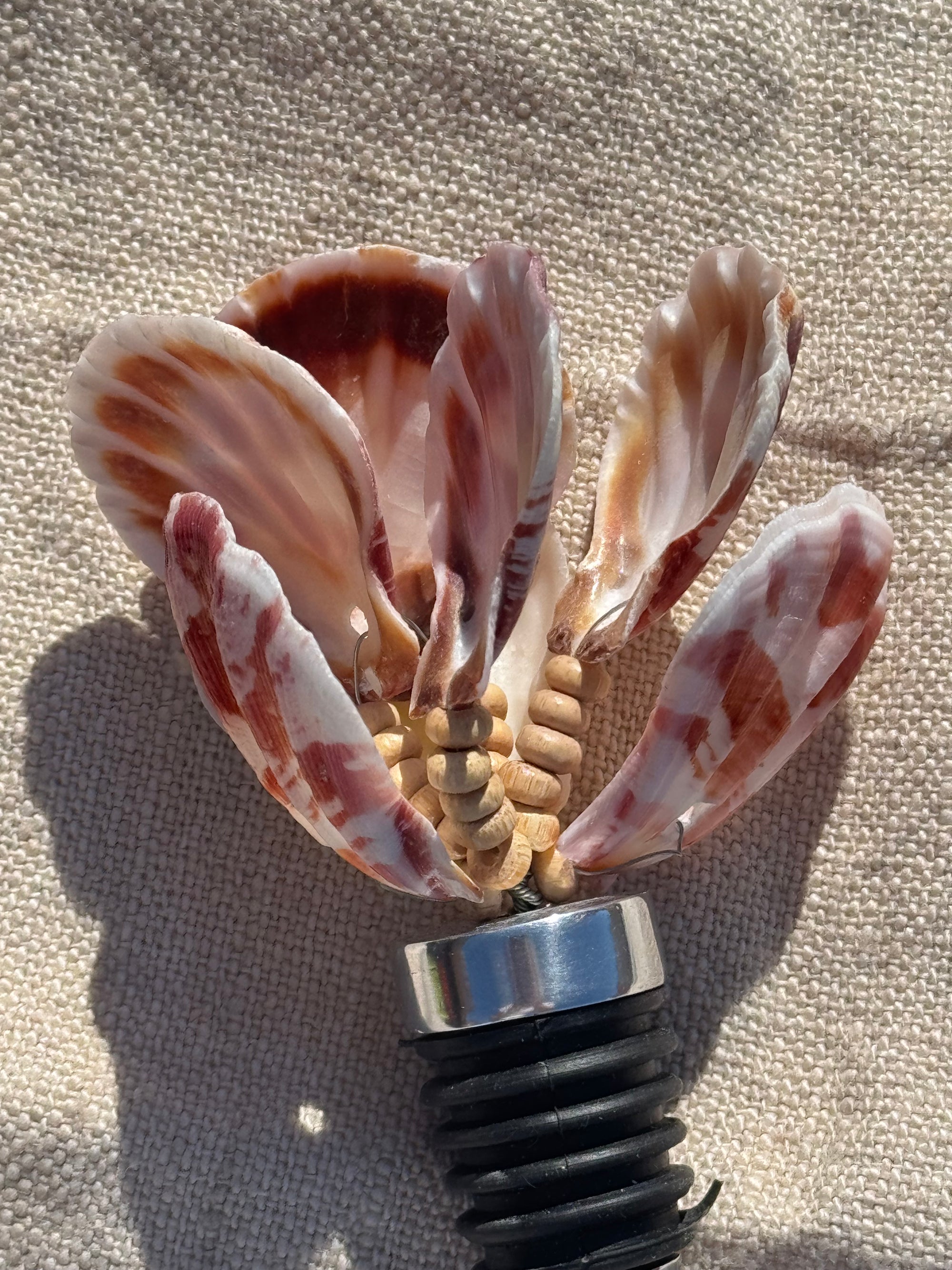 Studio Noticed Bottle Stopper Shells
